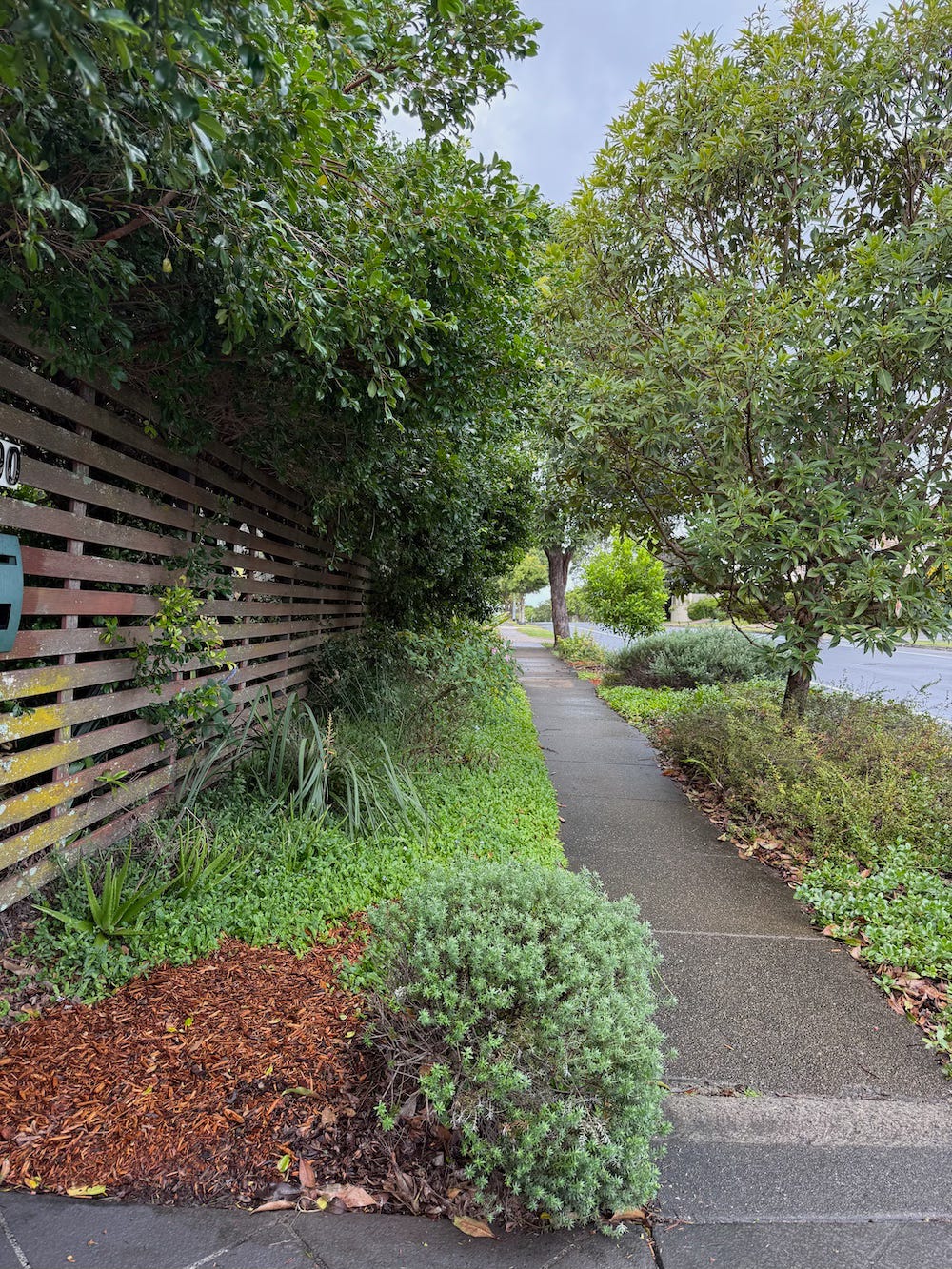 long shot of the verge