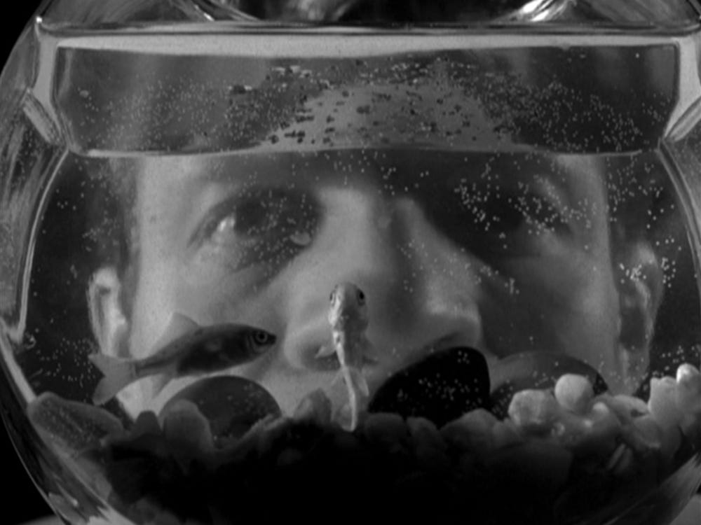 Analysis of Kubrick's "Killer's Kiss" - Table of Contents
