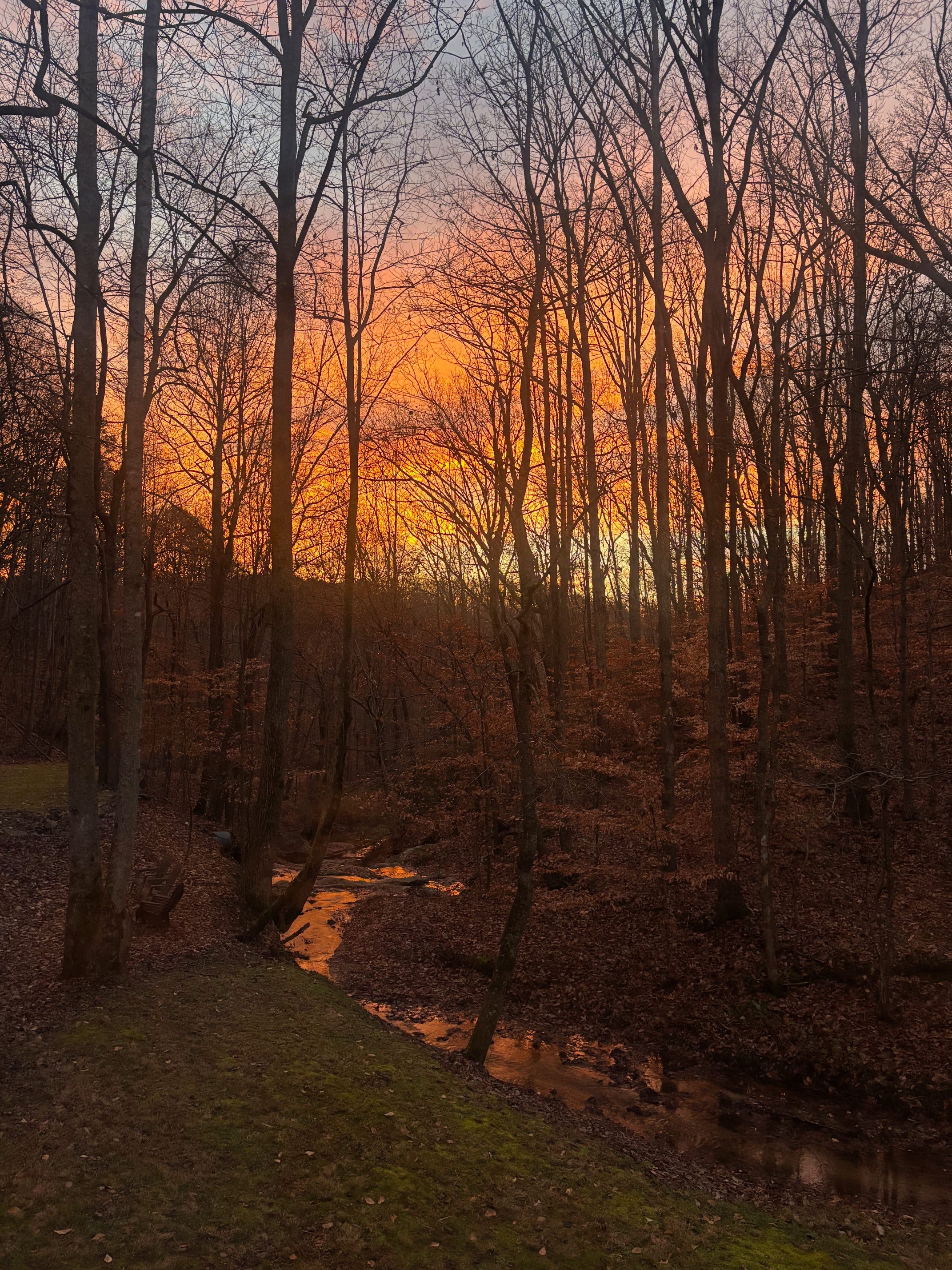 How does altruism show up in the natural world?