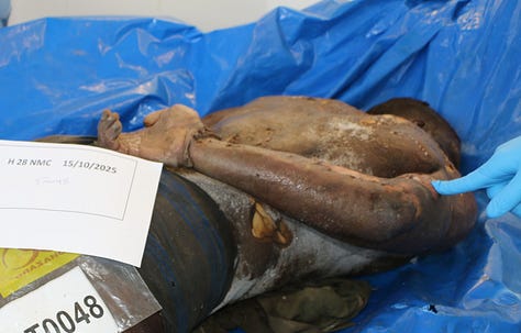 Gaza authorities publish shocking images of Israeli abuse as dozens of unidentified bodies are buried - Palestine Will Be Free