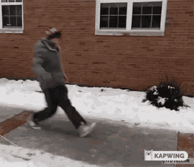 Freestyler On Ice GIF - Freestyler On Ice GIFs