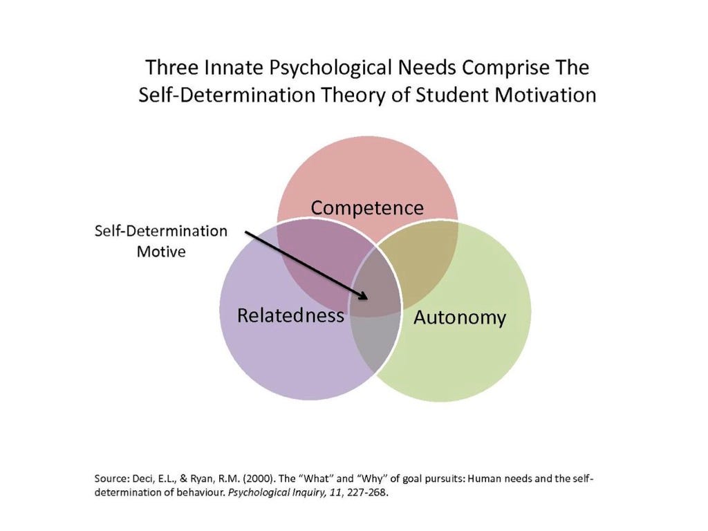 SDT-pure.jpg (1024×768)