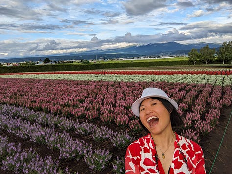 Farm Tomita, furano, Hokkaido, Japan