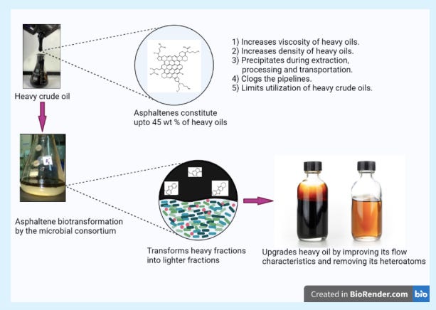 Biotransformation of Asphaltene through Microbial Consortium