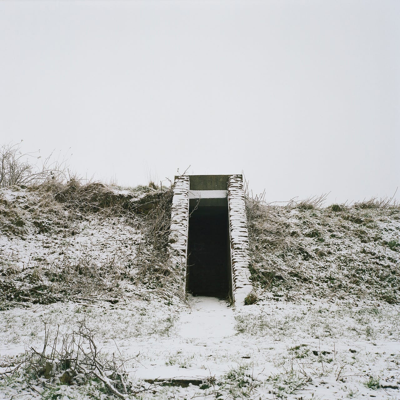 The Curiosity Dividend