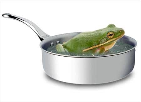 rana-cazo-hervida.jpg