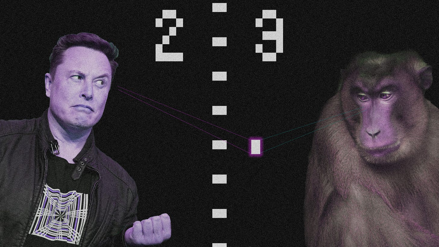 Elon plays pong vs monkey