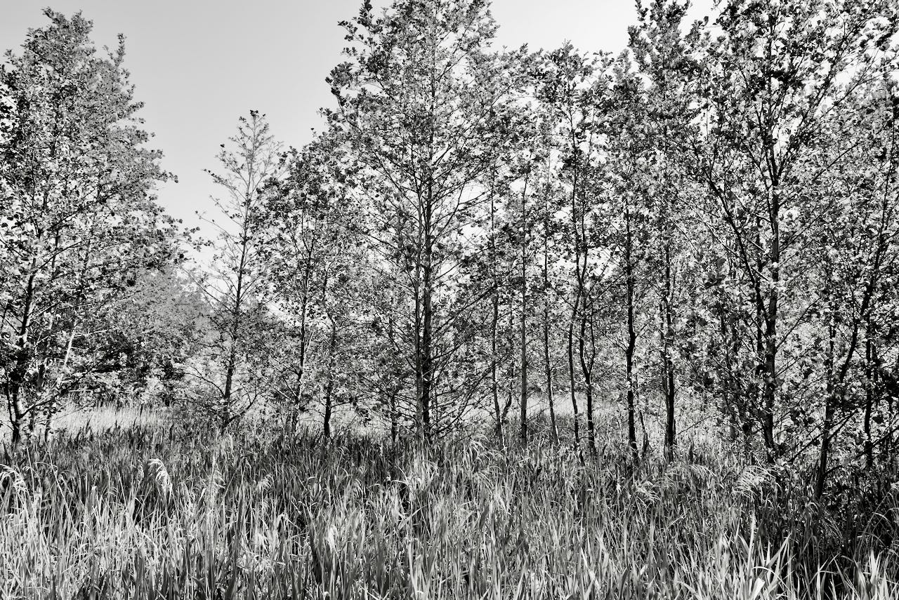 Natur – Sascha Büttner Fotografie