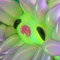 ines alpha's avatar