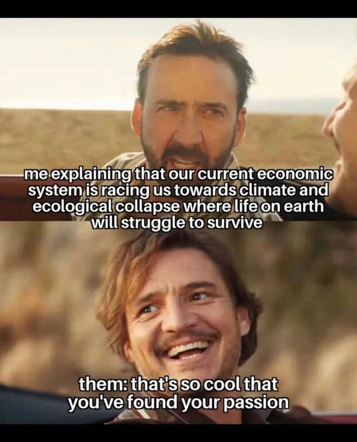 Two stills of Nicolas Cage and Pedro Pascal. Cage: "me explaining that our current economic system is racing us towards climate and ecological collapse where life on earth will struggle to survive". Pascal, beaming: "them: that's so cool that you've found your passion".