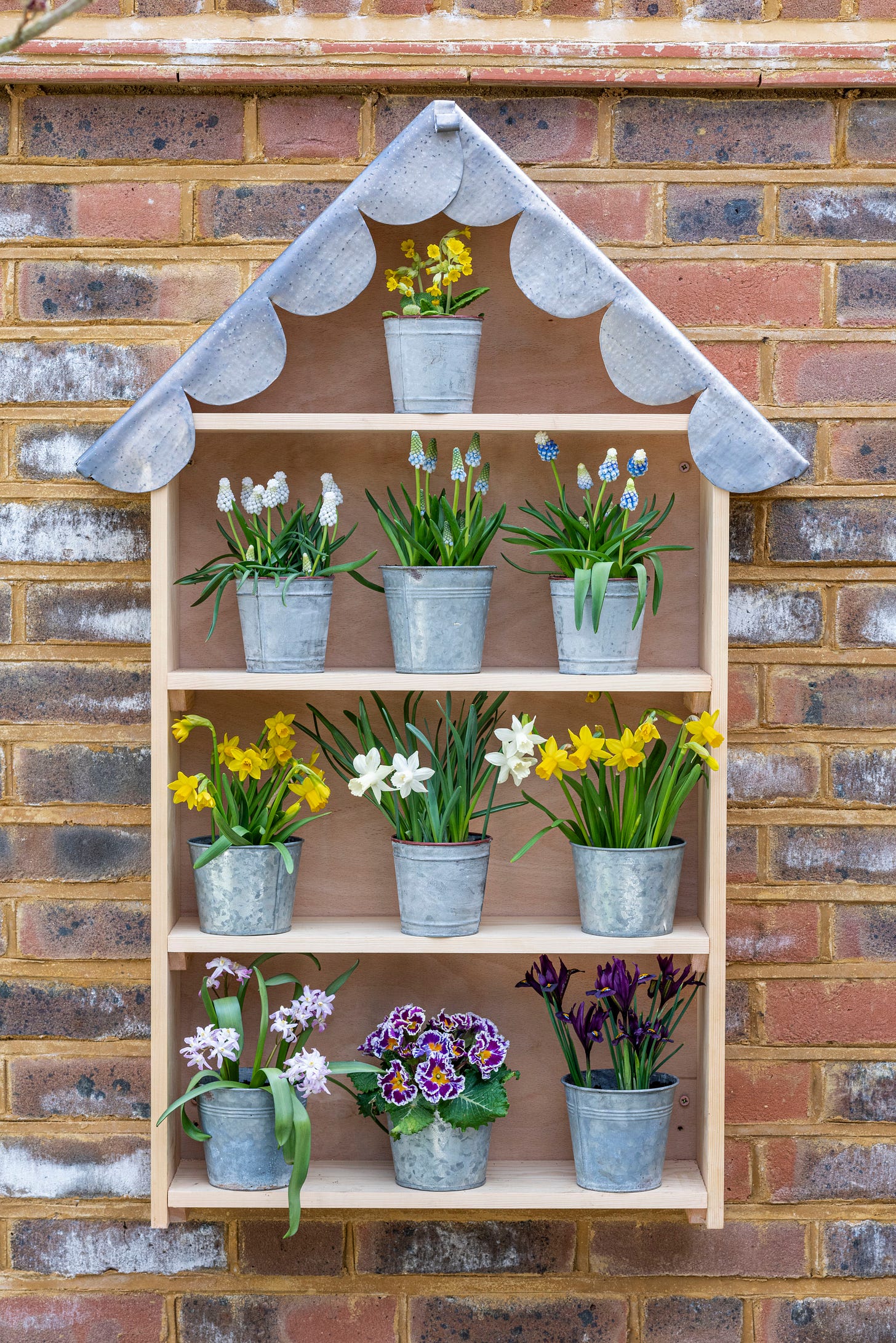 A handbuilt plant theatre with scalloped lead roof is used to display primulas and early spring bulbs such as dwarf daffodils, grape hyacinths, reticulata irises and chionodoxa.