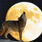 DesertDweller's avatar