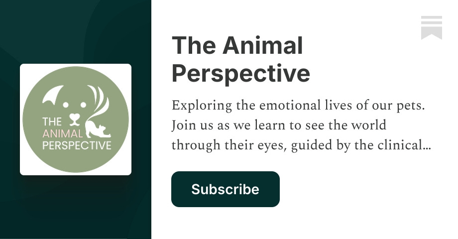 The Animal Perspective | Daphne Ang | Substack