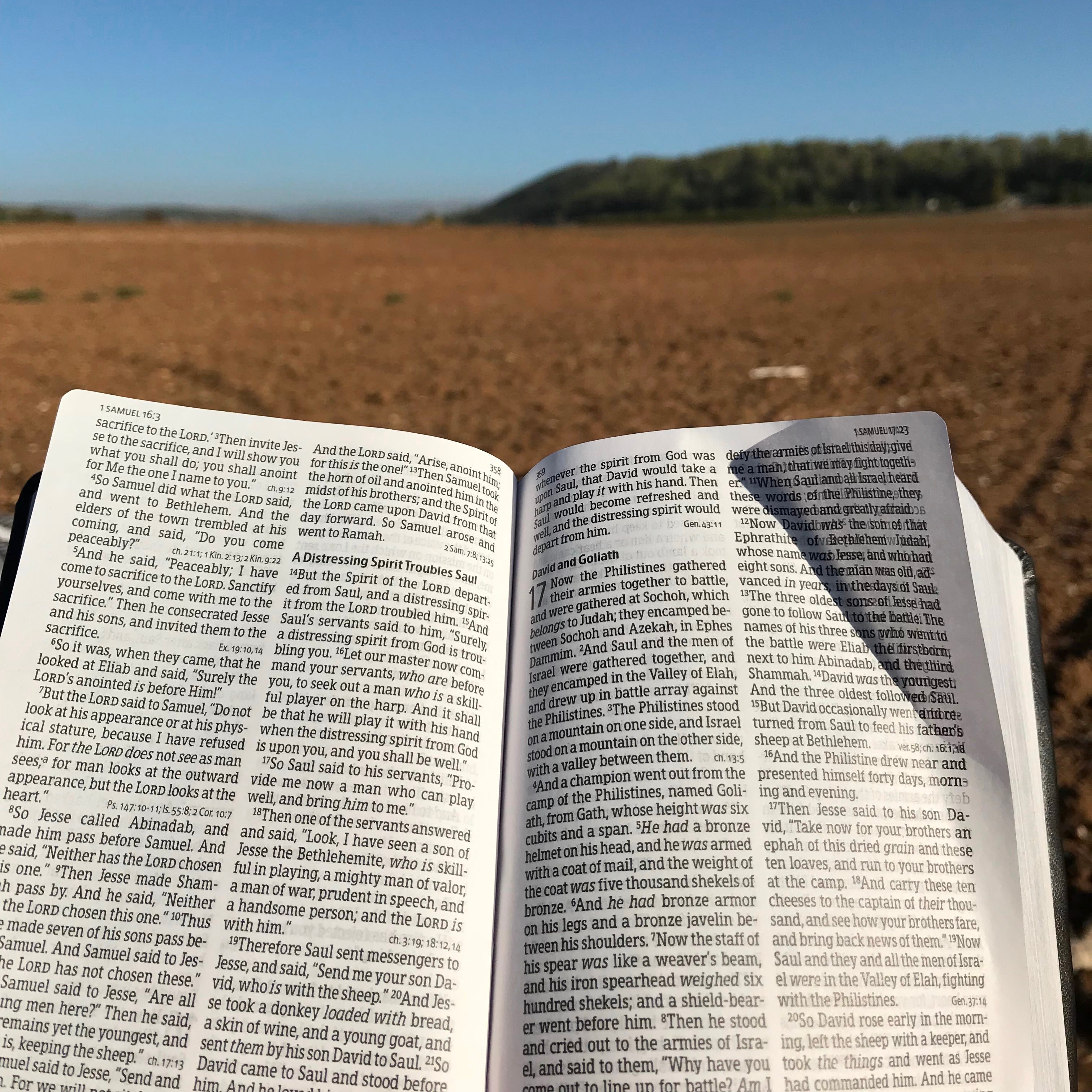 Scripture and the Spirit 