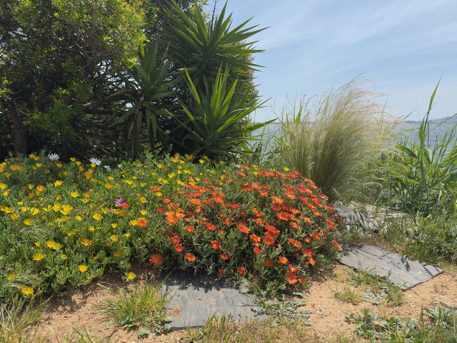Jardin Jardin