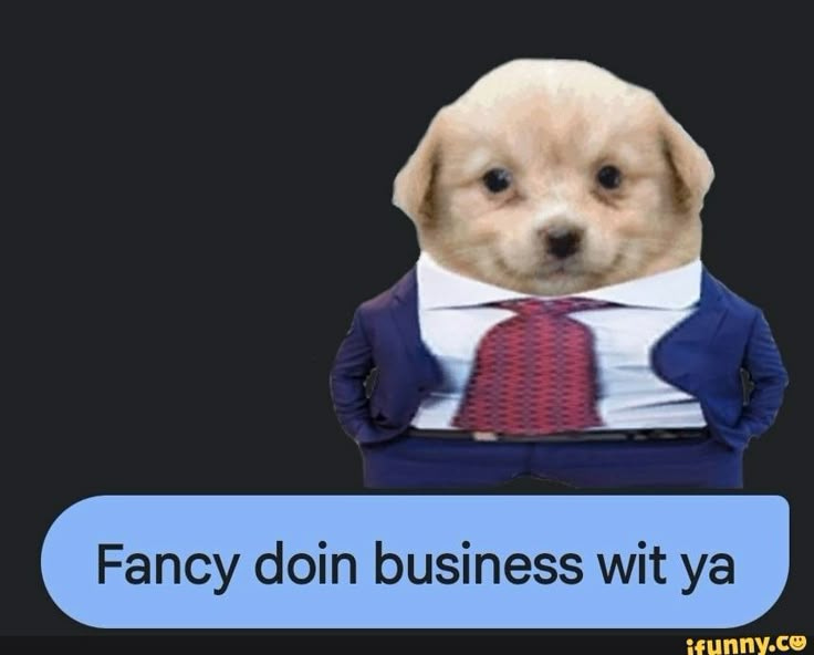 This may contain: a dog wearing a tie and shirt with the caption fancy doin business wit ya