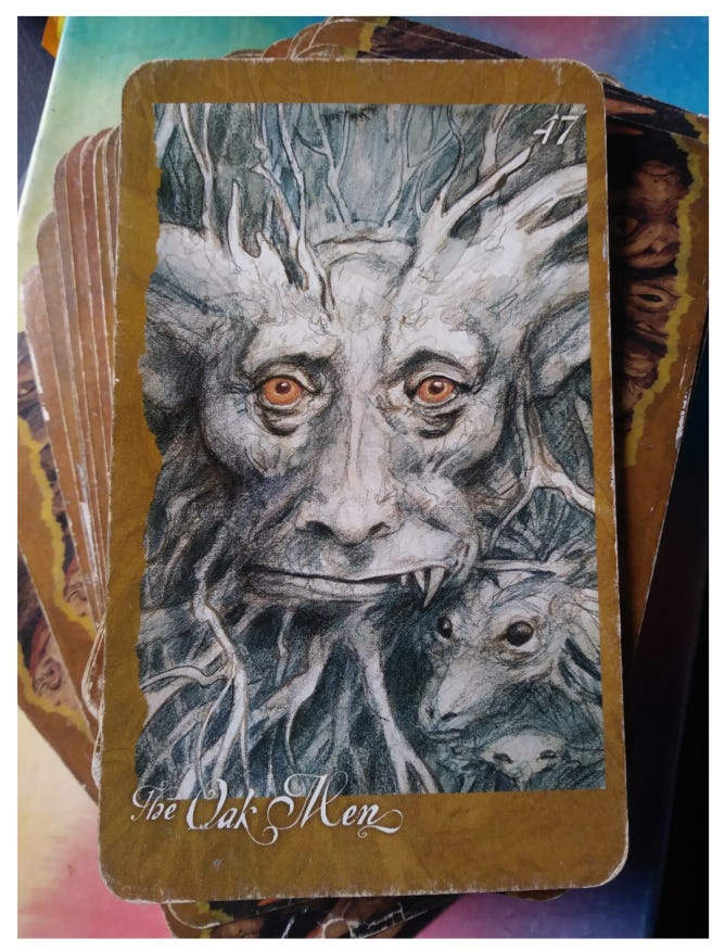 A Message from the Universe - The Oak Men A Message from the Universe - The Oak Men