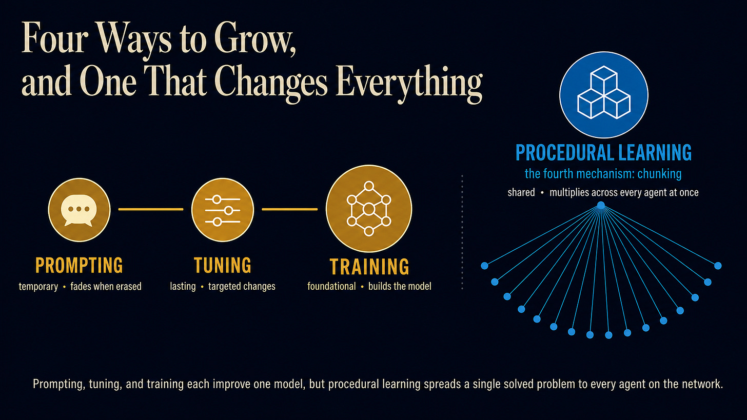 On a dark navy background, three gold circles rise from lower left to upper center, labeled Prompting (temporary, fades when erased), Tuning (lasting, targeted changes), and Training (foundational, builds the model), each larger than the last to show increasing permanence. Set apart at upper right, a larger blue circle labeled Procedural Learning, the fourth mechanism or chunking, sends many thin blue lines fanning outward to dozens of small dots representing agents across the network, showing that it is shared and multiplies across every agent at once. The contrast in color and position shows that the first three mechanisms each improve a single model, while the fourth spreads one agent's learning to the whole network.