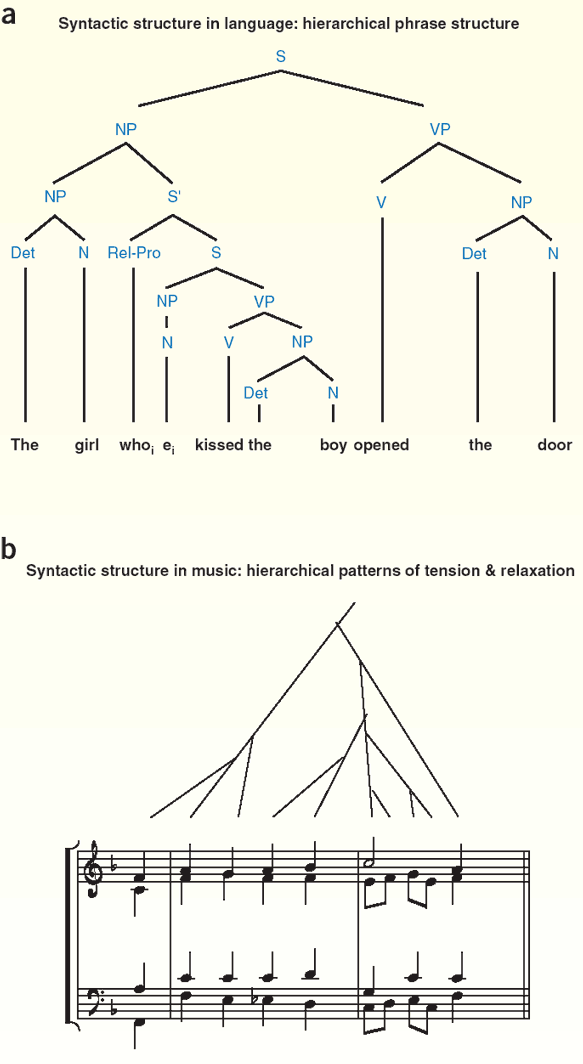 Language, music, syntax and the brain | Nature Neuroscience