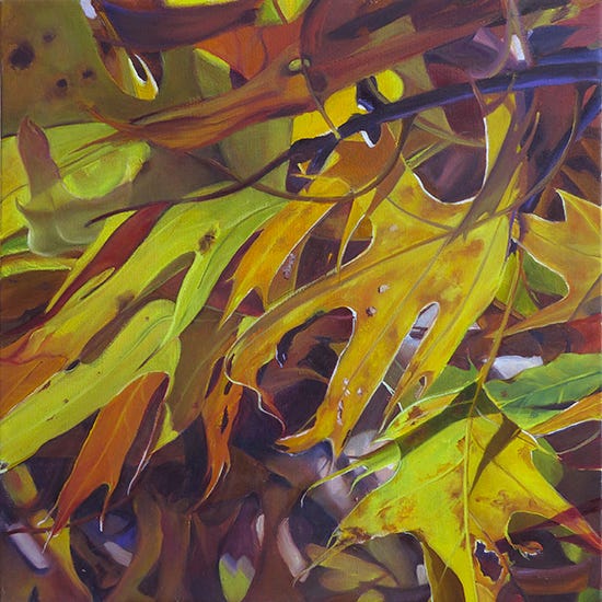 Torn and Tattered II, 20 x 20", Oil, © A. Trusty Torn and Tattered II, 20 x 20", Oil, © Ann Trusty