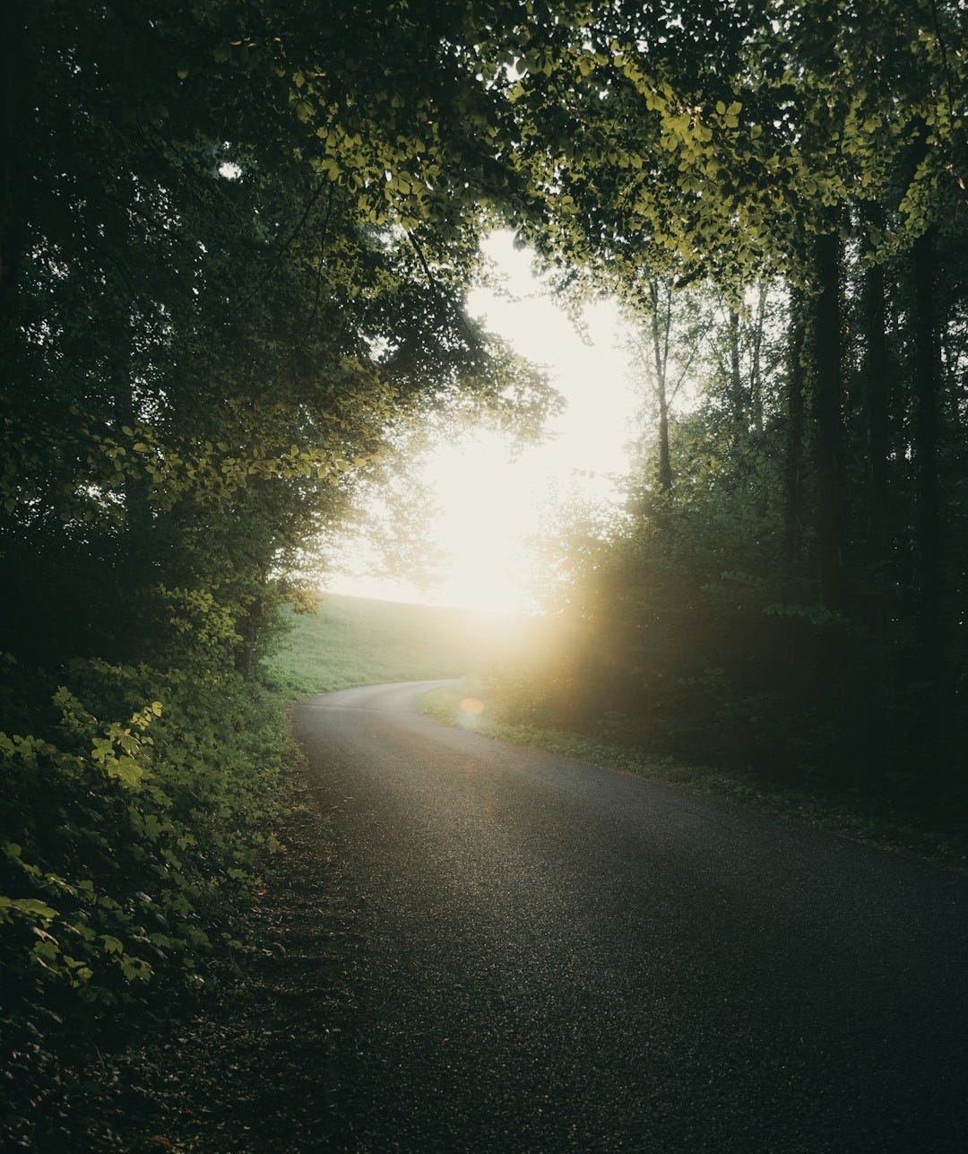 the sun is shining through the trees on the road