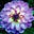 Lavender Dahlia's avatar