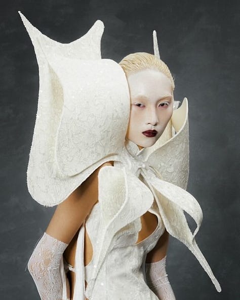 sophie hartnett works