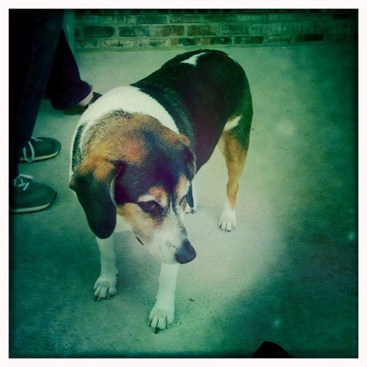 dixie dixie
