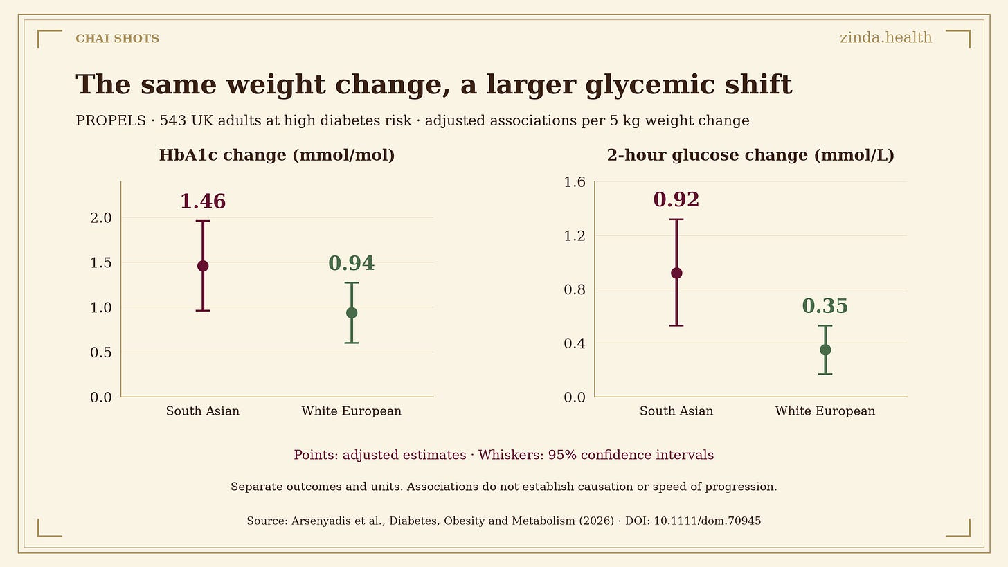 PROPELS adjusted changes per 5 kg weight change. HbA1c: South Asian 1.46 and White European 0.94 mmol/mol. Two-hour glucose: 0.92 and 0.35 mmol/L. Error bars show 95% confidence intervals.