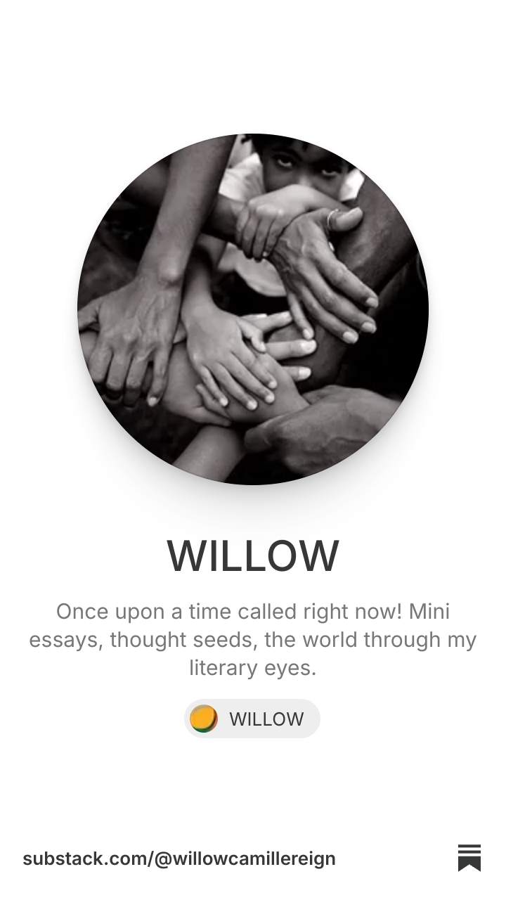WILLOW | Substack