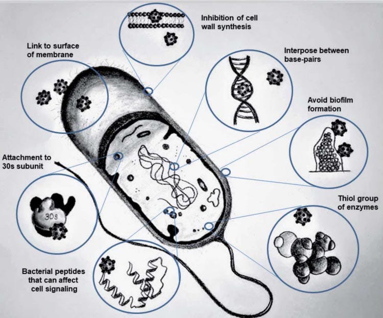 Silver vs bacteria Silver vs bacteria