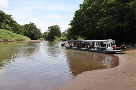 Top left shows a muddy brown river with an old tree branch on which a large brown heron stands. It's neck is striped orange and brown. Middle top - two long narrow boats lie resting on the muddy brown river bank. Tor right, a view from inside one of the boats showing seats lined in two columns down the middle of the boat. Each seat has an orange life jacket slung over the seat back. There are no windows. Middle left, an emerald green lizard with a long tail and horned ridges running over the top of its head and down its spine rests on a branch. Middle image shows a brown caiman slipping into the murky brown water off a muddy riverbank. Middle right shows two monkeys in the jungle canopy - one of them is reaching out its arm to the other. The monkeys are light brown on the top half and dark brown on the bottom. Bottom left - a view from a boat across a wide stretch of water to low buildings and an old tree still standing. Middle bottom, a river between an open area of reed on the right and on the left, the deep thick jungle vegetation. Bottom right, spray from a boat rises in front of the camera and behind the spray is a wide expanse of water across from a jungle scene with thick green vegetation.