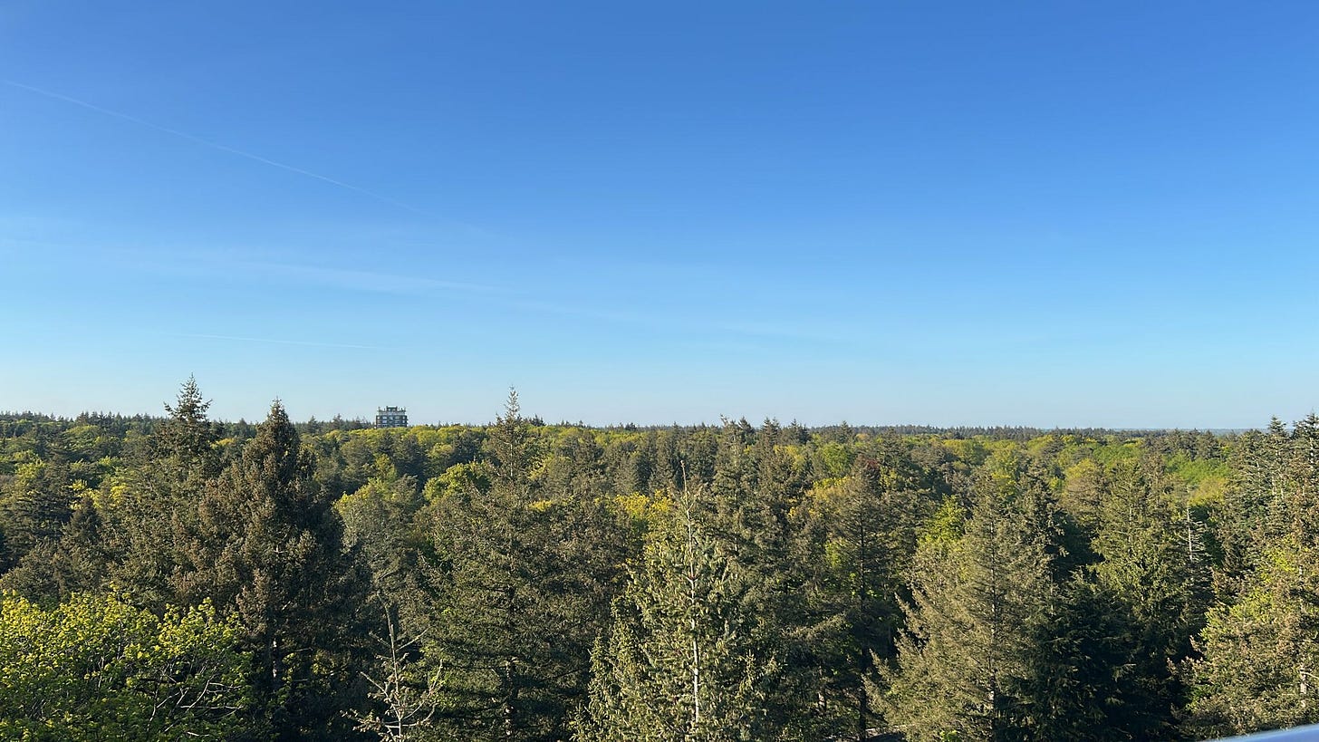 Beeld genomen vanaf de uitkijktoren van Berg en Bos in Apeldoorn in noordwestelijke richting. De bebossing van Berg en Bos is te zien, met flat De Arendsburcht die er net boven uit steekt. De lucht is blauw, met lichte sluierbewolking. Hoewel in de richting van 't Harde, is geen rookontwikkeling te zien van de brand die in het artikel wordt beschreven. Beeld genomen vanaf de uitkijktoren van Berg en Bos in Apeldoorn in noordwestelijke richting. De bebossing van Berg en Bos is te zien, met flat De Arendsburcht die er net boven uit steekt. De lucht is blauw, met lichte sluierbewolking. Hoewel in de richting van 't Harde, is geen rookontwikkeling te zien van de brand die in het artikel wordt beschreven.