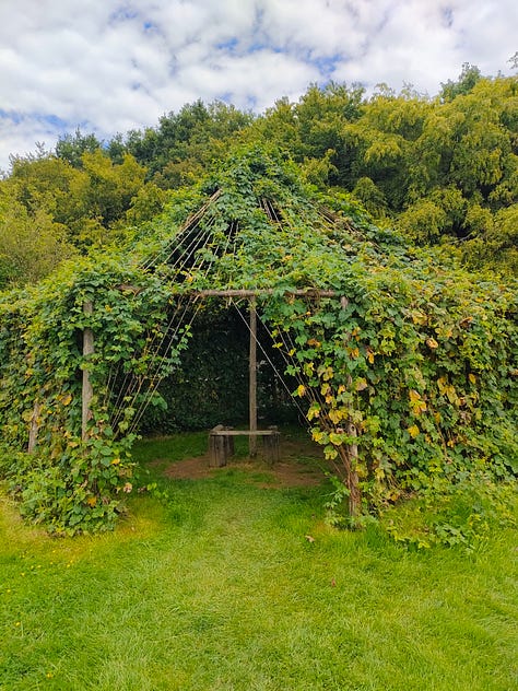 A woodland firepit circle, a view of the ocean from the clifftop with wildflowers in the foreground, a path in the woods, a wooden sign stating 'woodland path' and 'pond', a view of the sunset over a lake surrounded by grassland, a handbuilt hops hut