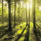 the marrow of days — on freedom & idleness in a post-singularity world