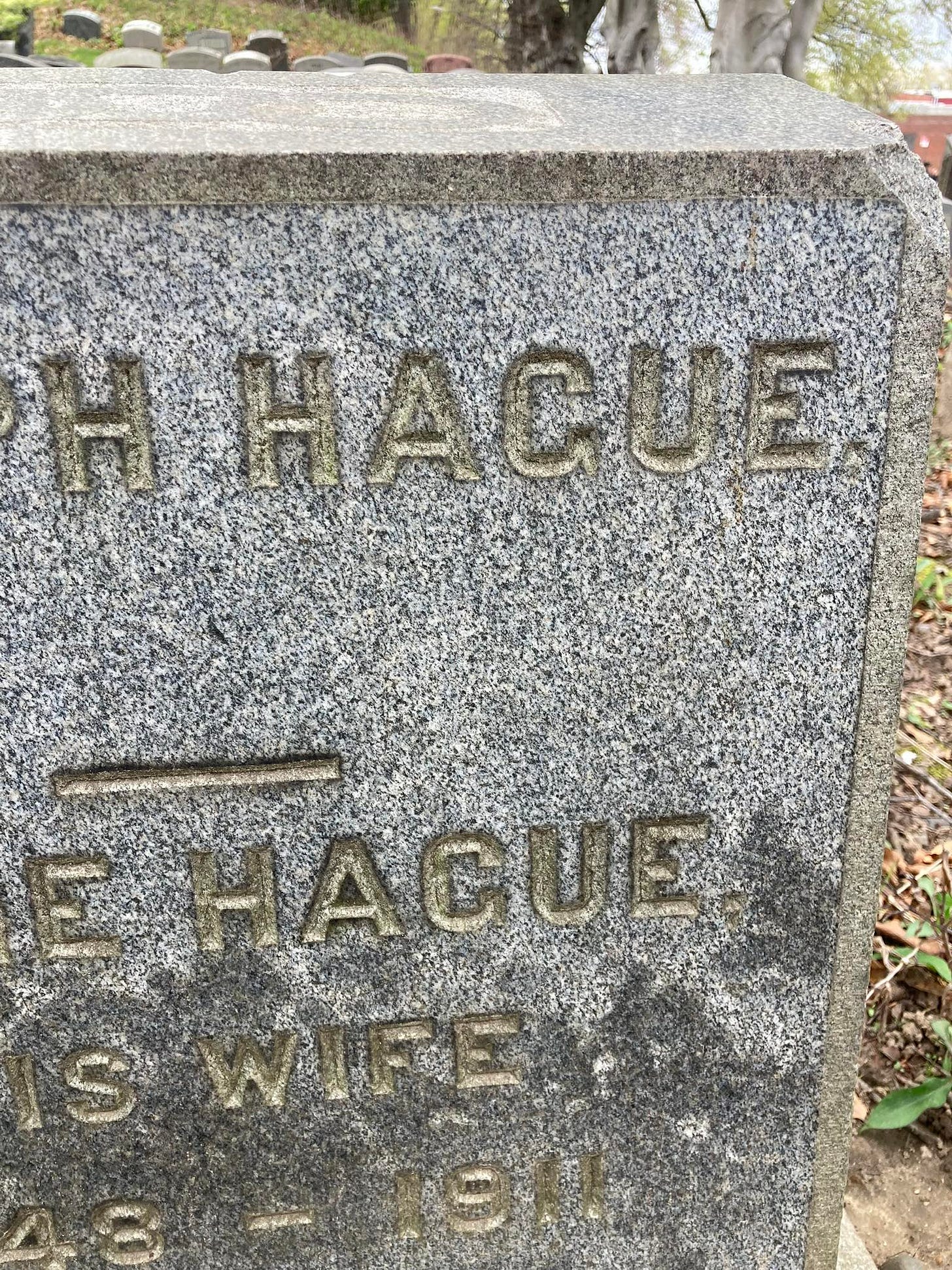 May be an image of monument and text