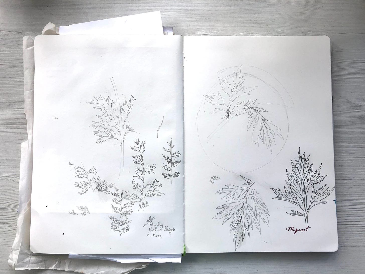A sketchbook page what is not Instagram worthy with scattered partly draw sketches 