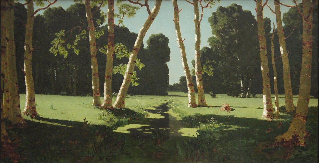 A row of sunlit white birches at the edge of a green glade, a darker wood behind