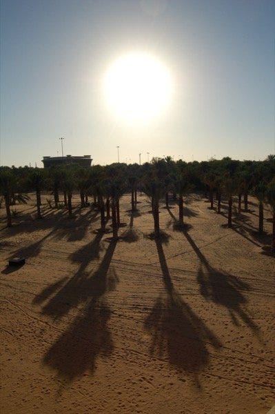 View from Qasr Al Muwaiji