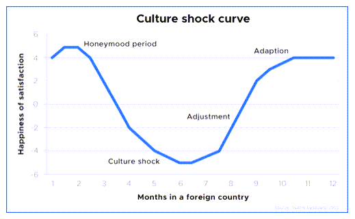 The "Culture shock curve" shows a progression from: the "Honeymoon period" to "Culture shock" to "Adjustment," and then "Adaptation."