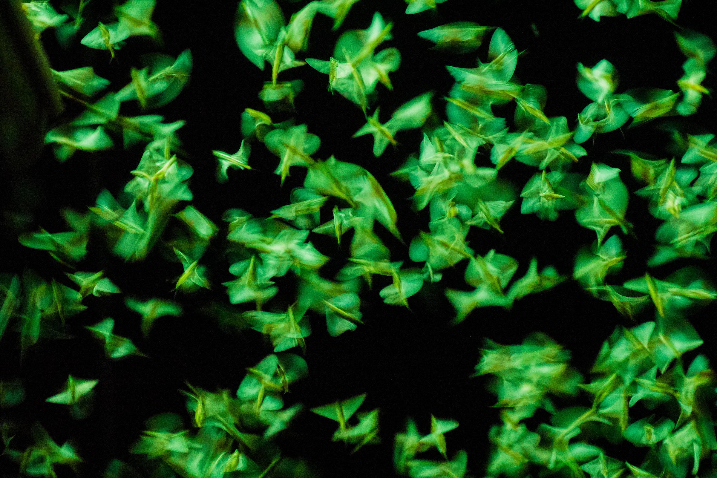 Many green leaves appear in motion, blurred and scattered across a black background, creating an abstract and dynamic visual effect.