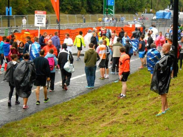 Milling around near the orange pen