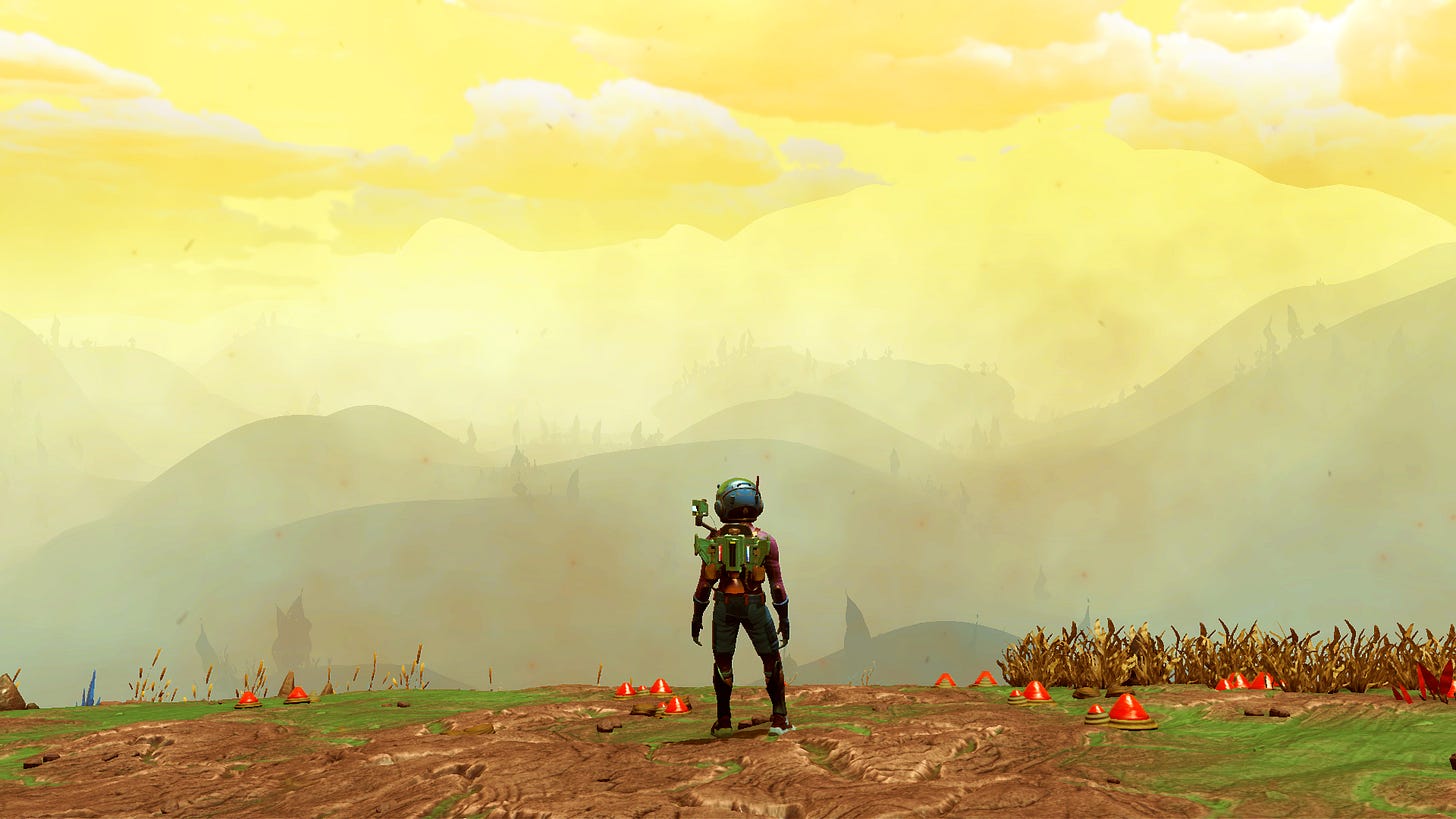 Admiring the hazy view