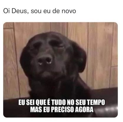 Meu ZapZap - Imagens Oi Deus, sou eu de novo - Engraçadas para Whatsapp e  Facebook