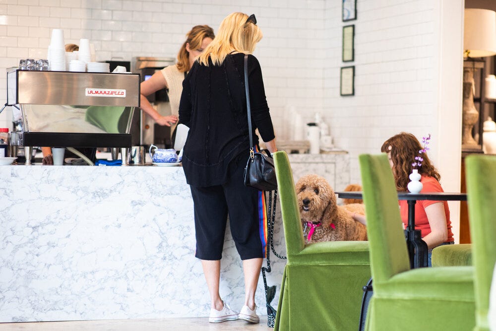 London  the goldendoodle makes an appearance at Sheep &amp; Meadow.