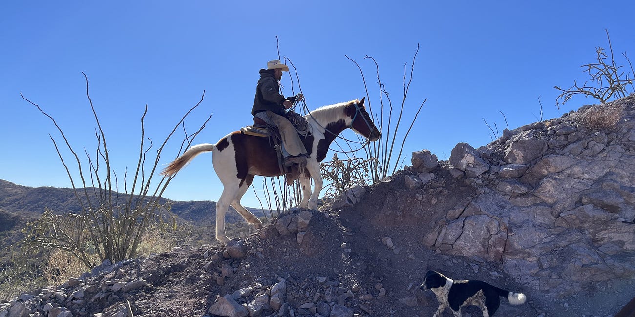 Give to The Border Chronicle This Holiday Season