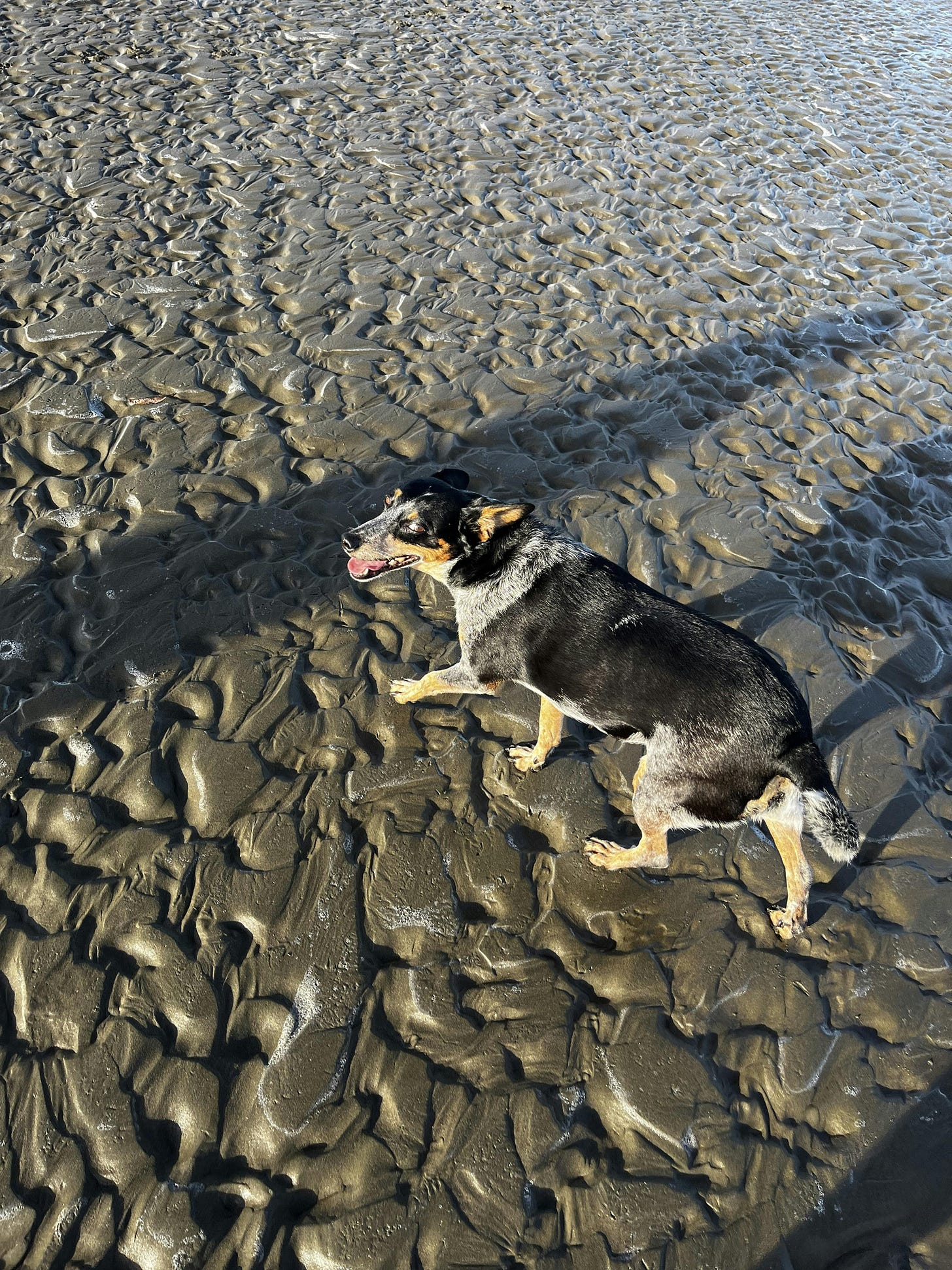 037: Loving What You Have, Having What You Love! 037: Loving What You Have, Having What You Love!