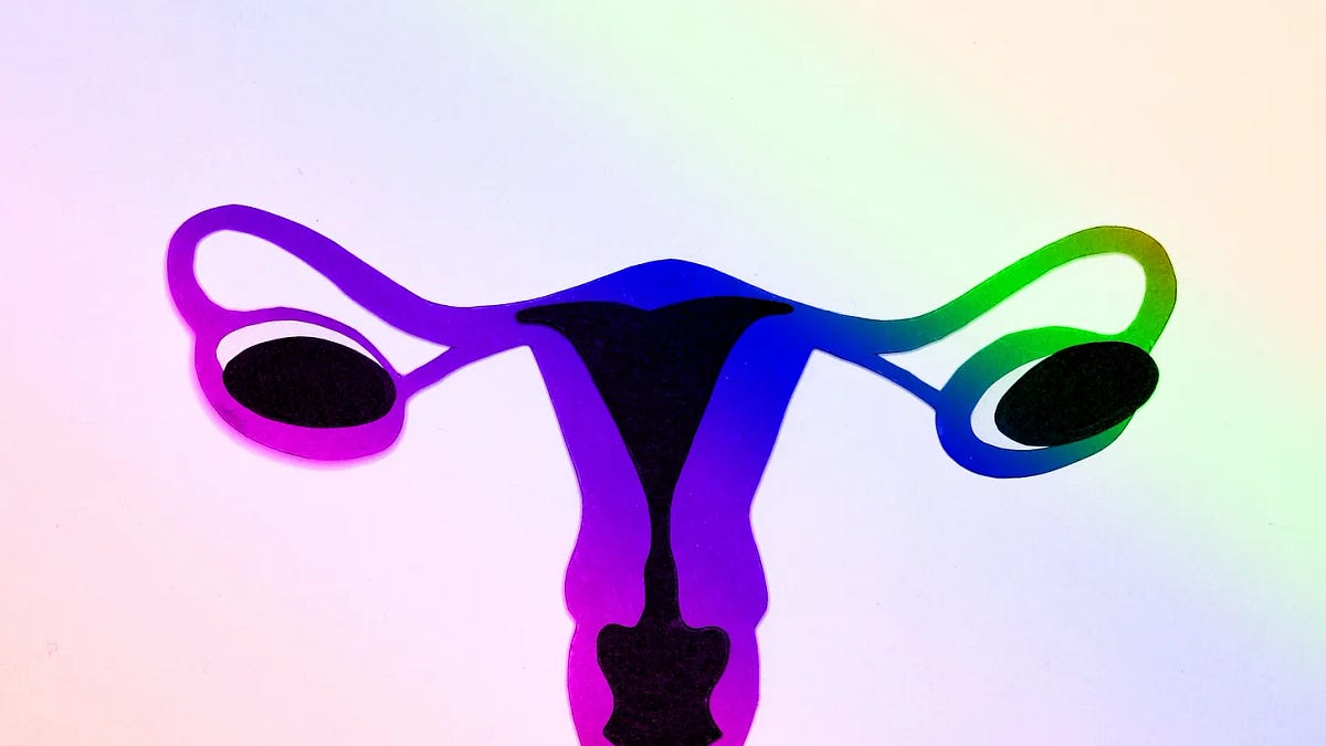 Wyoming's Abortion Ban Dream Once Again Dashed By Its Own Anti-Obamacare Law