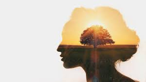 Expand Your Vision & Perspective ...