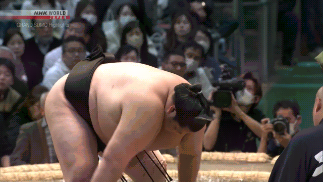 Sumo Stomp! | Tim Bissell | Substack